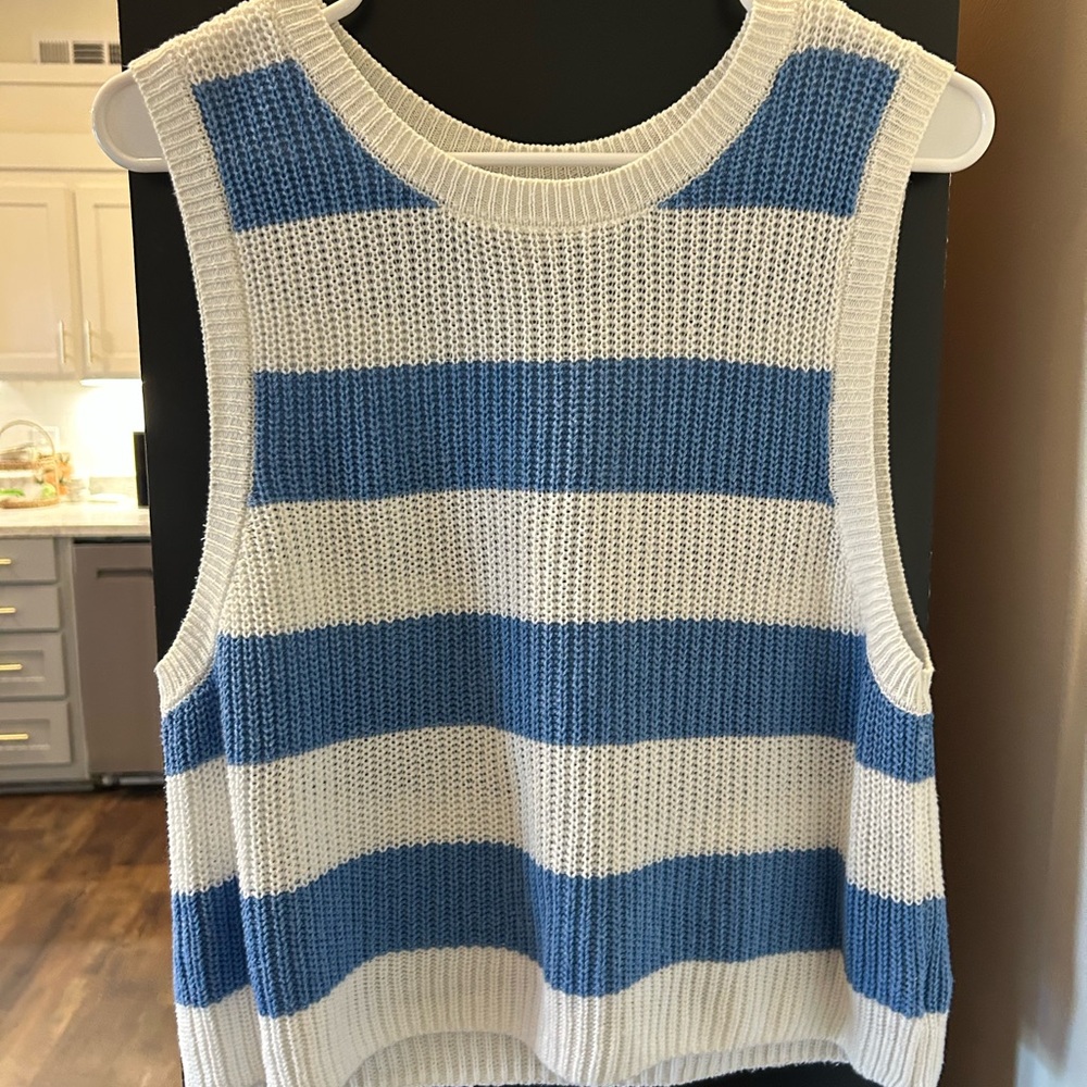 American Eagle Outfitters Blue and White Knit Top